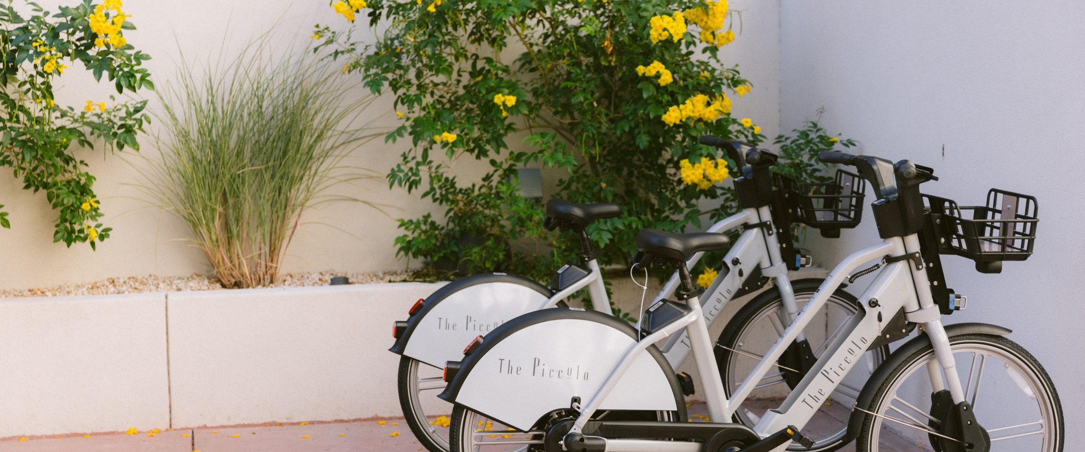 2 Bicycles in a stand  in front of a garden wall