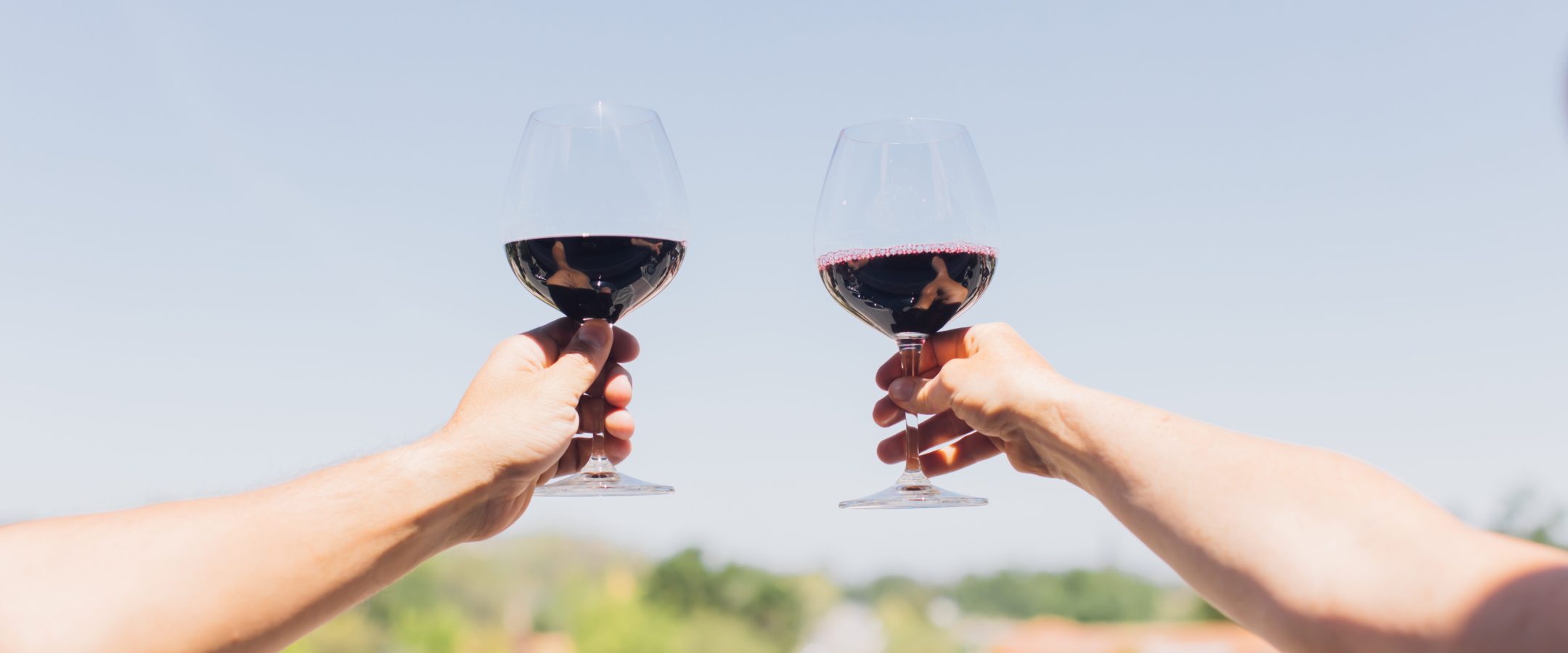 Two hands hold up red wine in glasses to toast. There is a vineyard in the background.